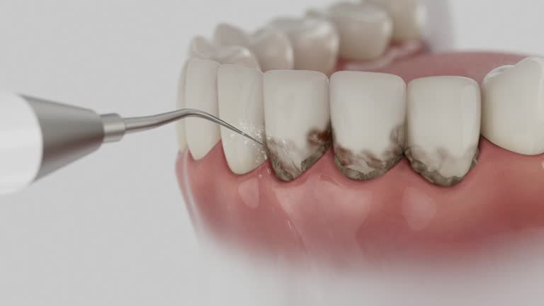 Reliable Dental contractor in La Plata, NM by Dentist Open Now